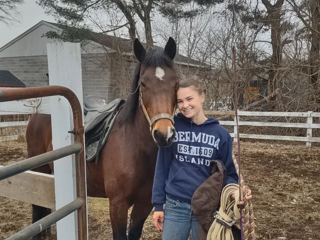 Enlarge Pippa, a Adopted Mustang in Northford, CT image 5/12