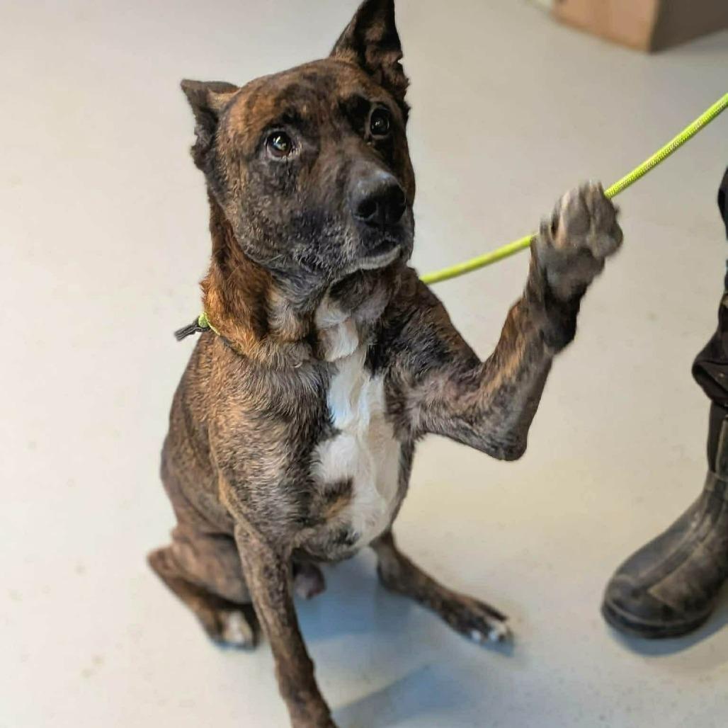 Tiny Tim — thumbnail 5