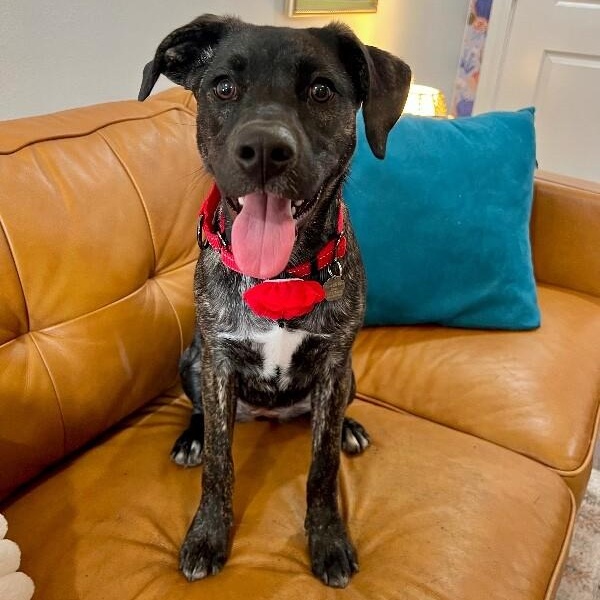 Lovey Kissy the Fun Lover Girl — thumbnail 5