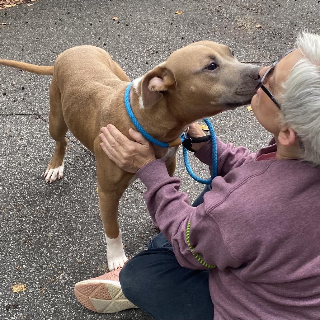 Frankenpup 6889 — thumbnail 6