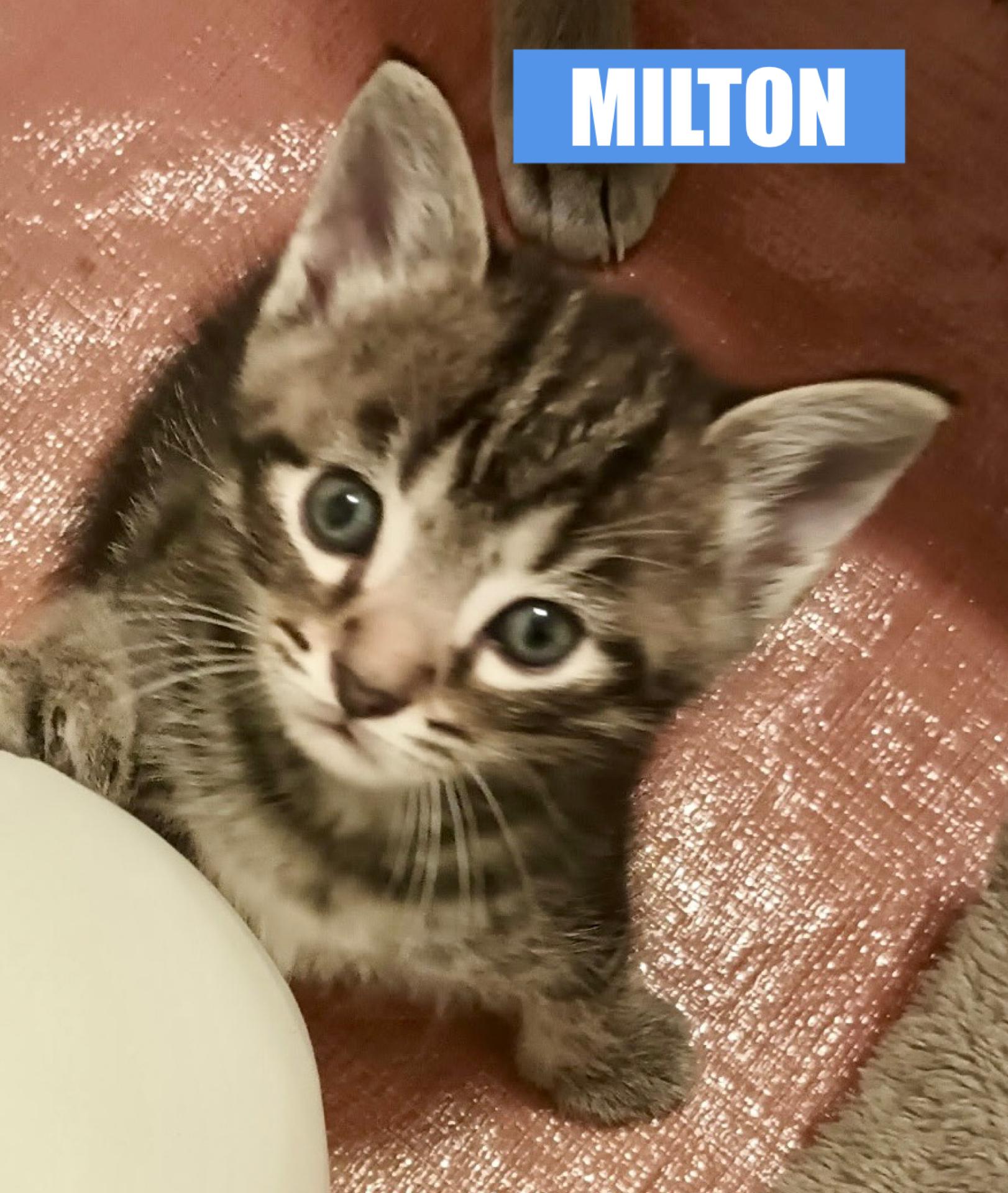 Milton