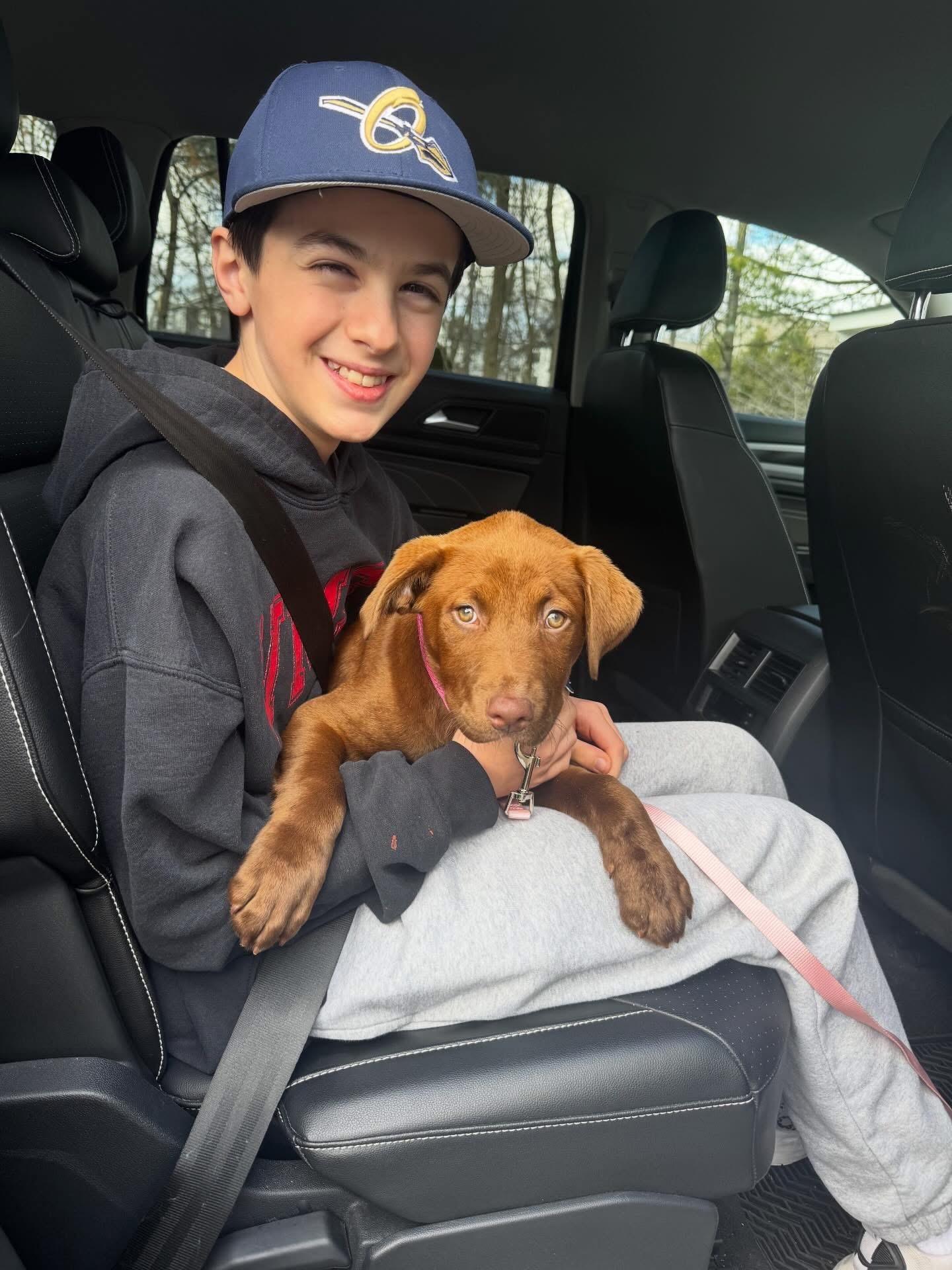 Enlarge Adessi, an adopted mixed breed in Mahwah, NJ image 3/6