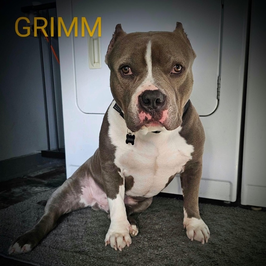 Grimm