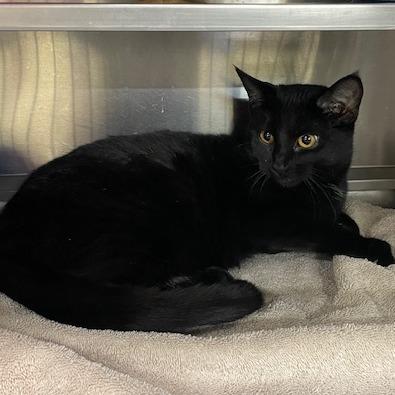 Purple — thumbnail 2