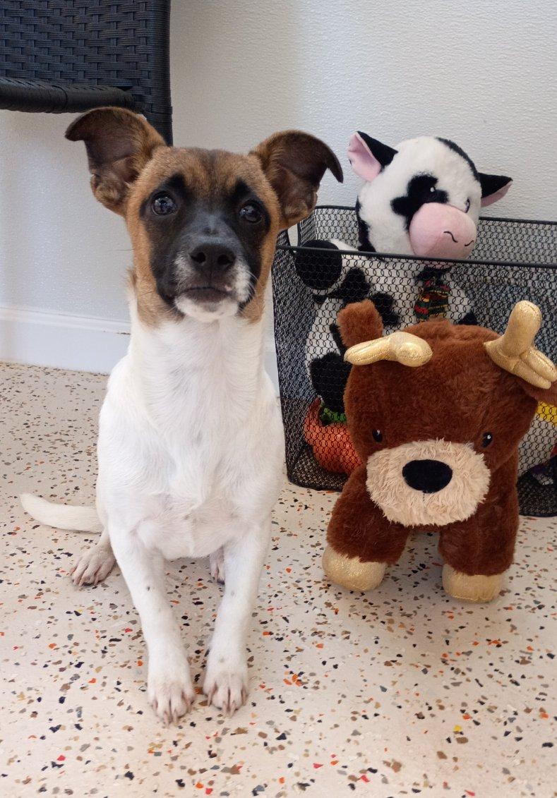 Little Carla Is Ready thumbnail 4