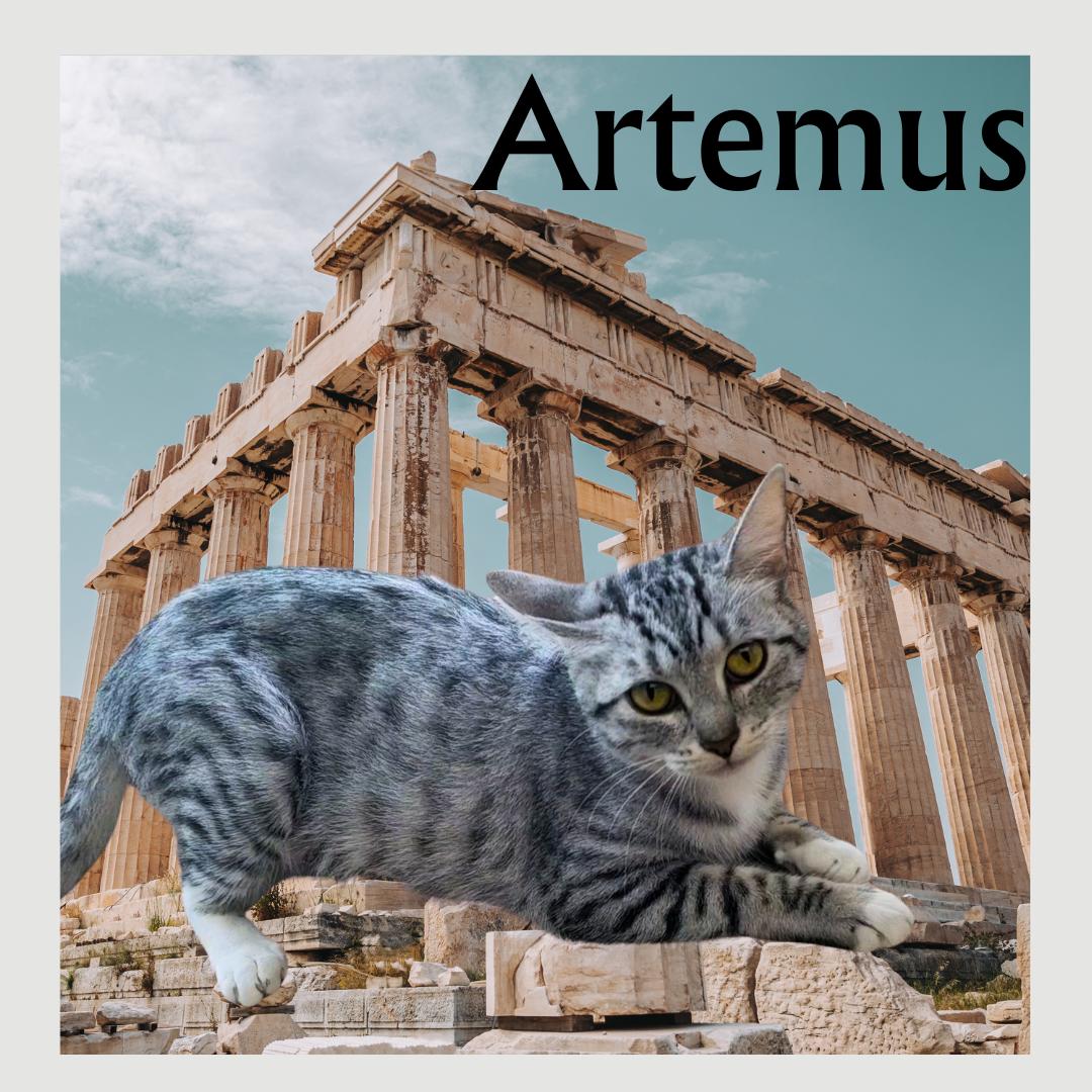 Artemus