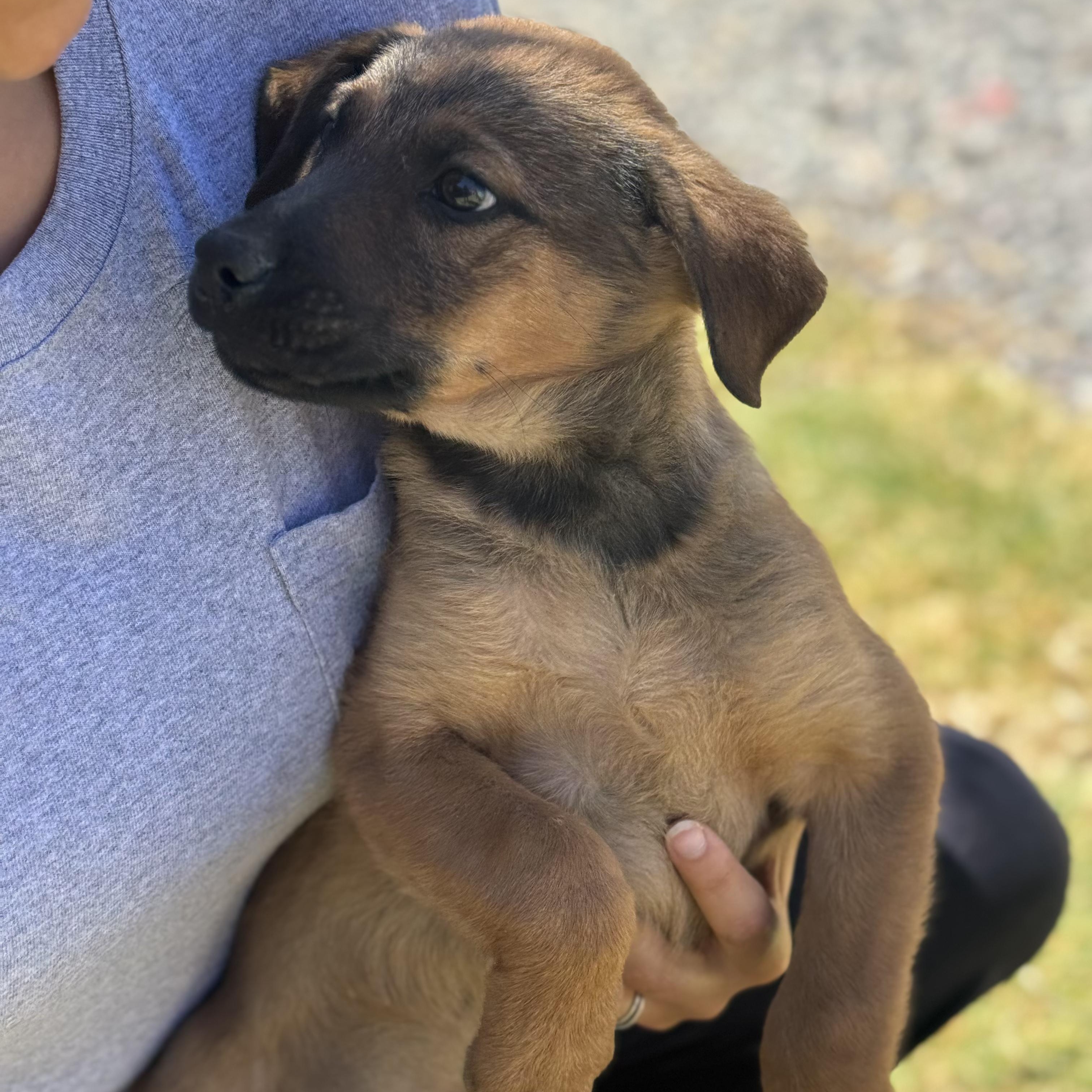 Jack — thumbnail 4