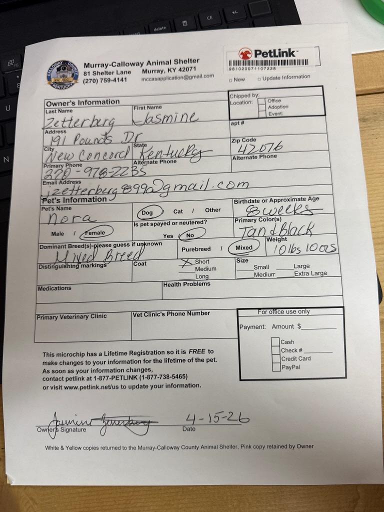 Nora, Adopted, Puppy Female Mixed Breed.