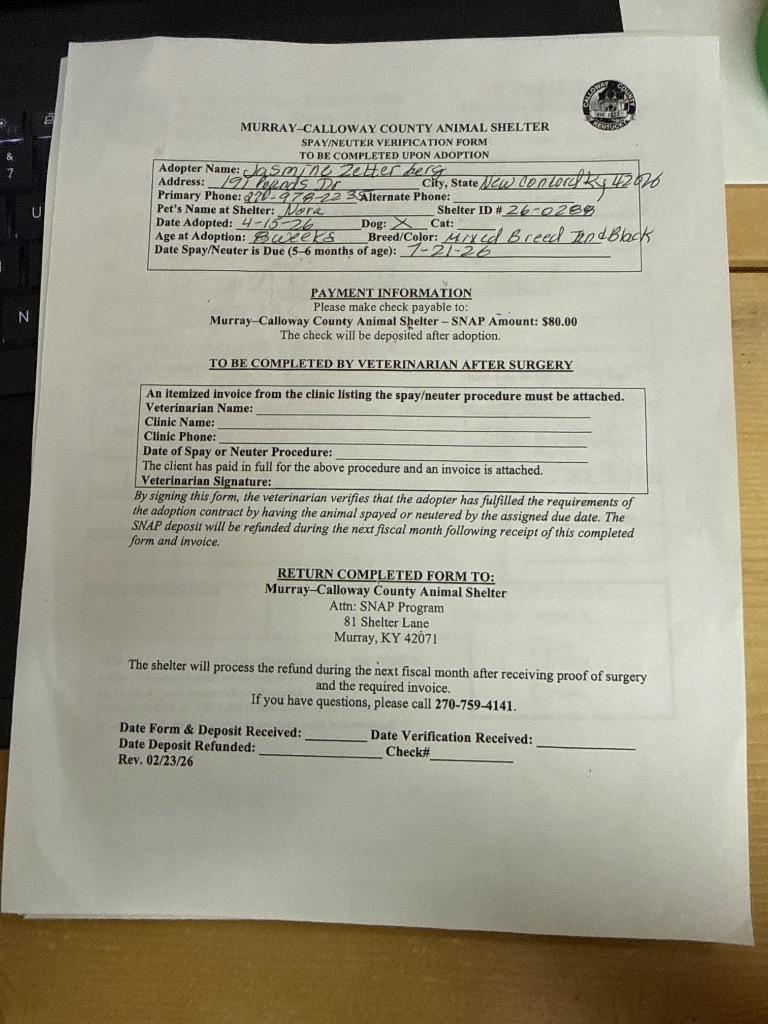 Enlarge Nora, a Adopted mixed breed in Murray, KY image 6/6