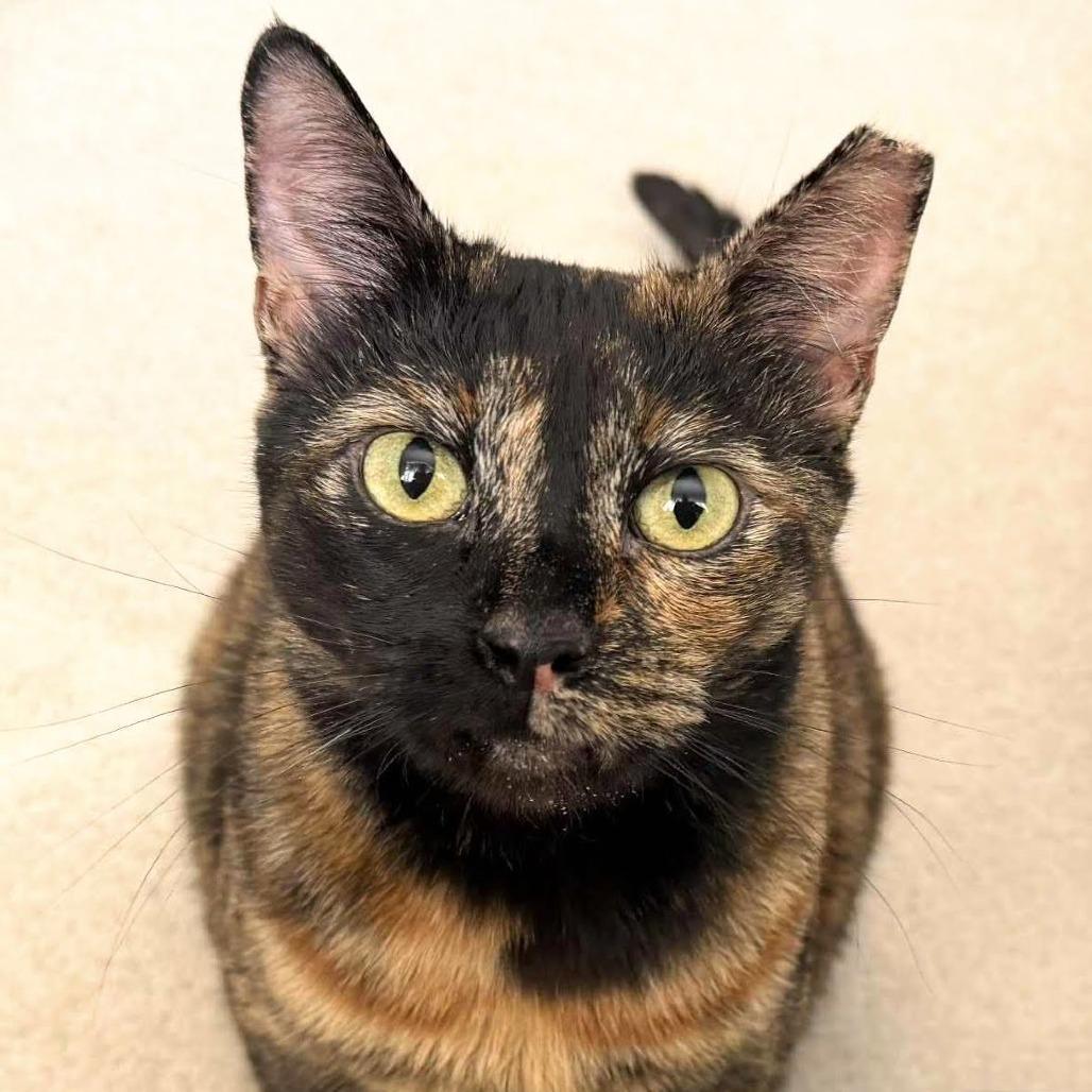 Samantha — thumbnail 2