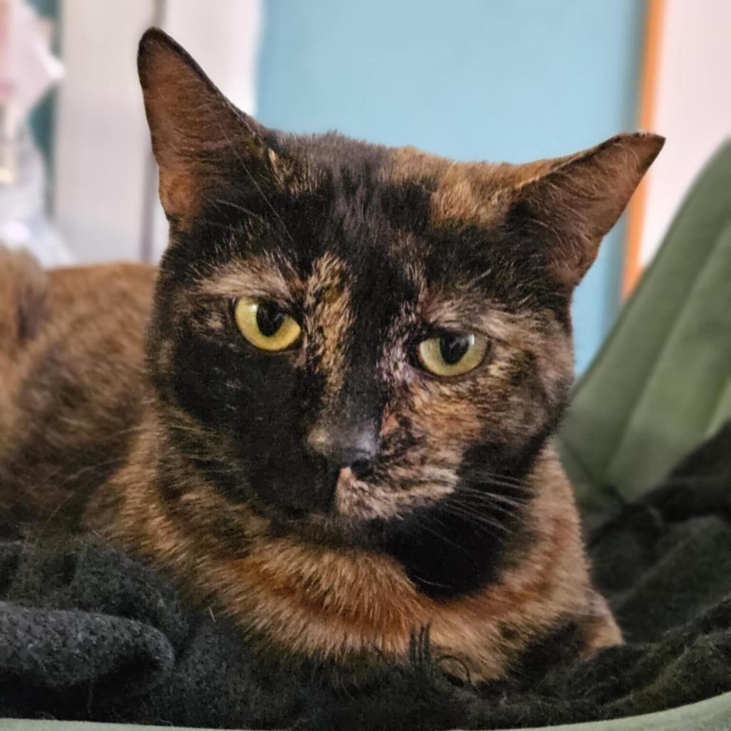 Samantha — thumbnail 4