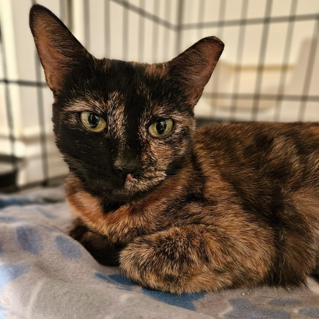 Samantha — thumbnail 6