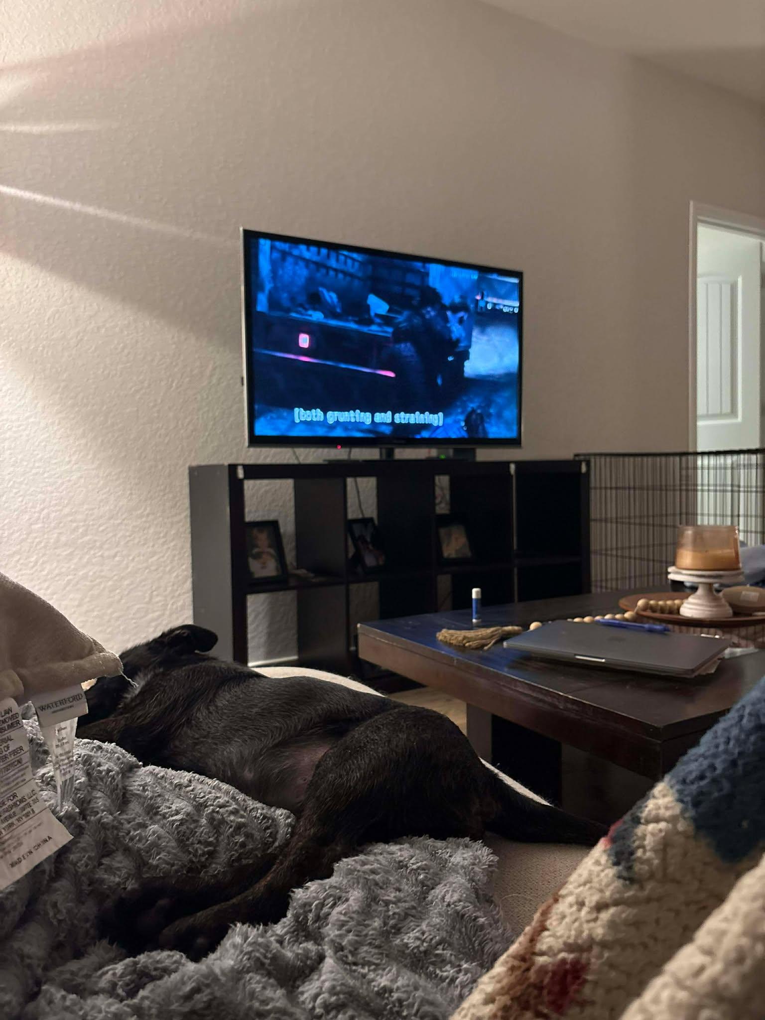 Bear — thumbnail 3