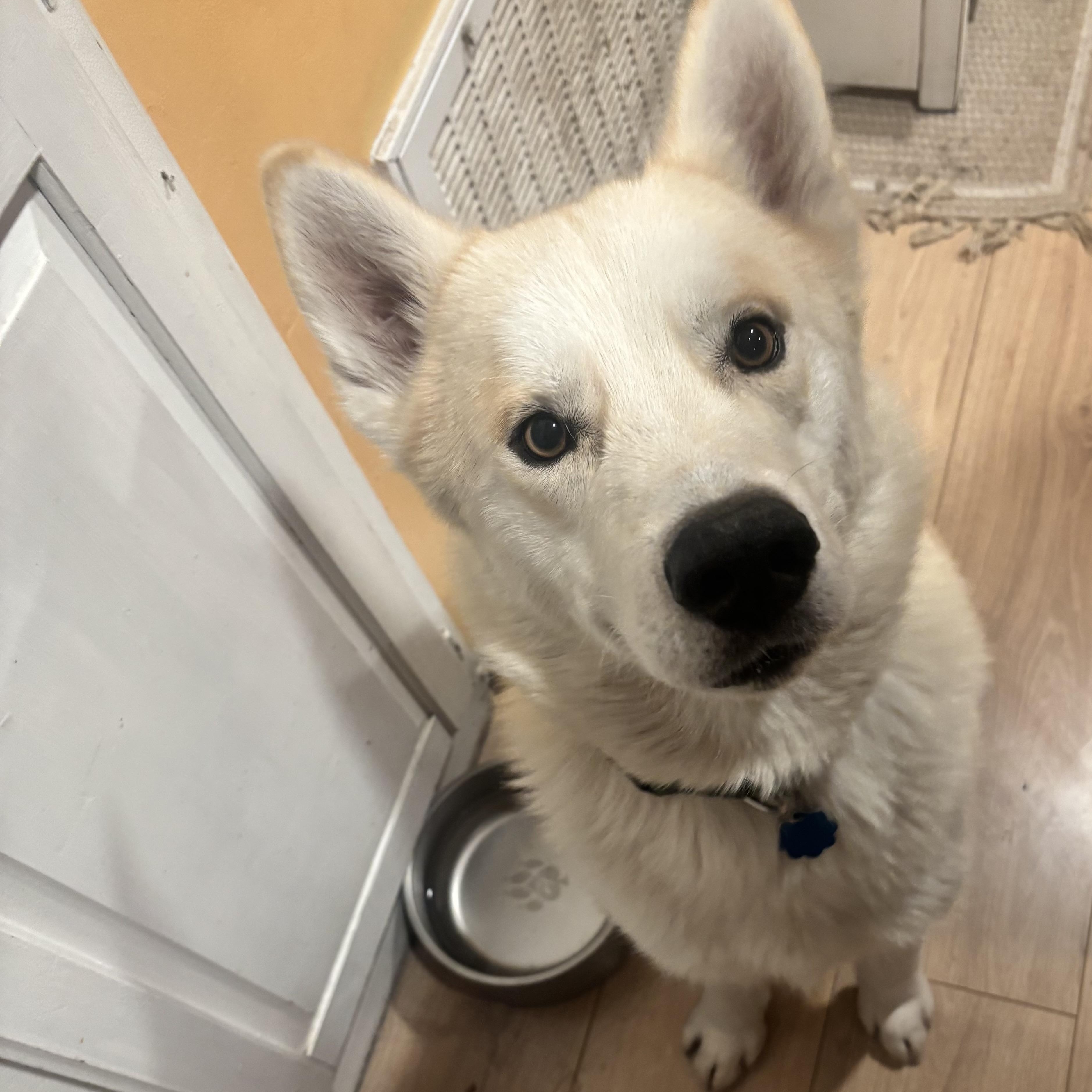 banjo — thumbnail 3