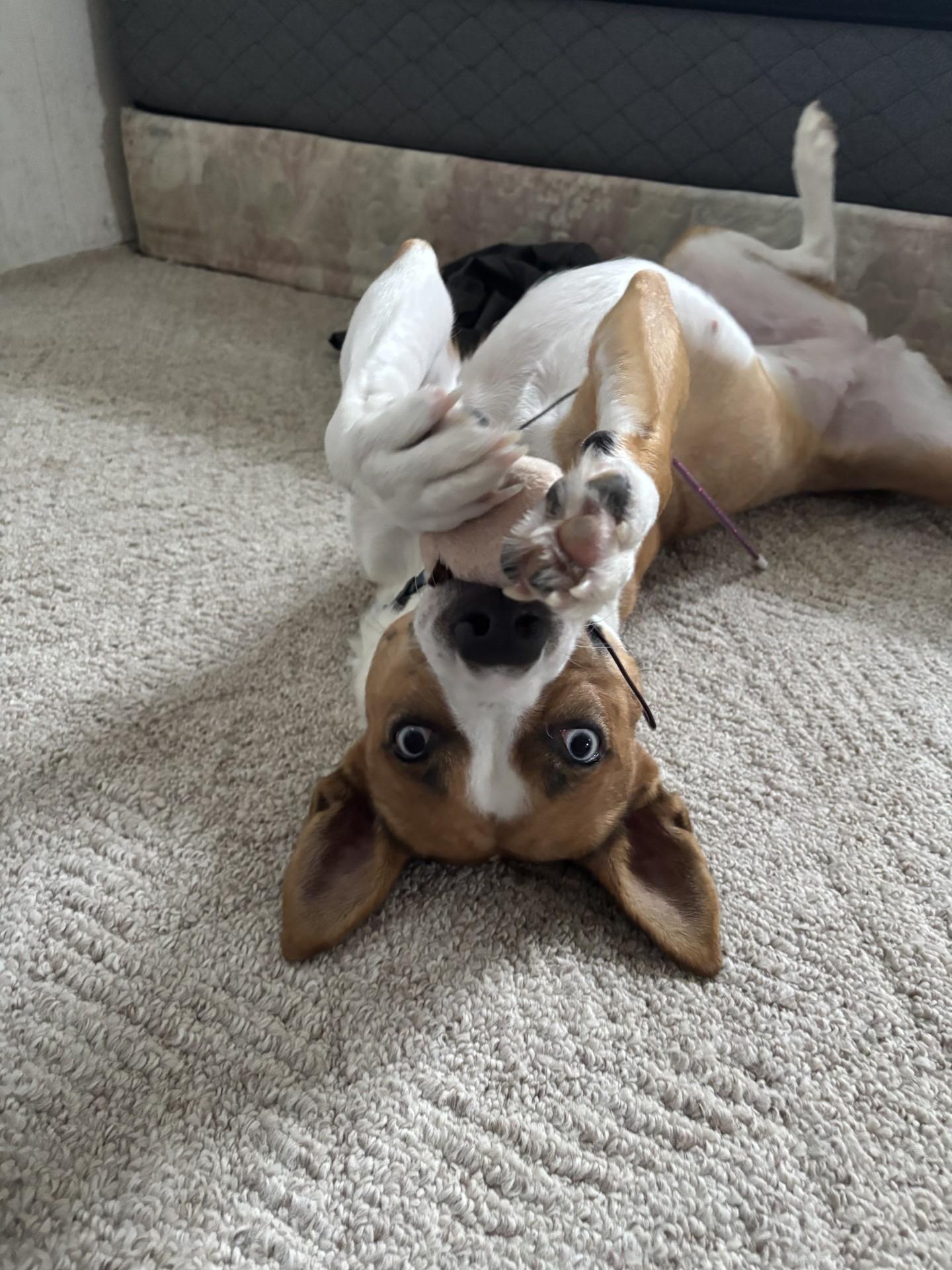 MISS RILEY