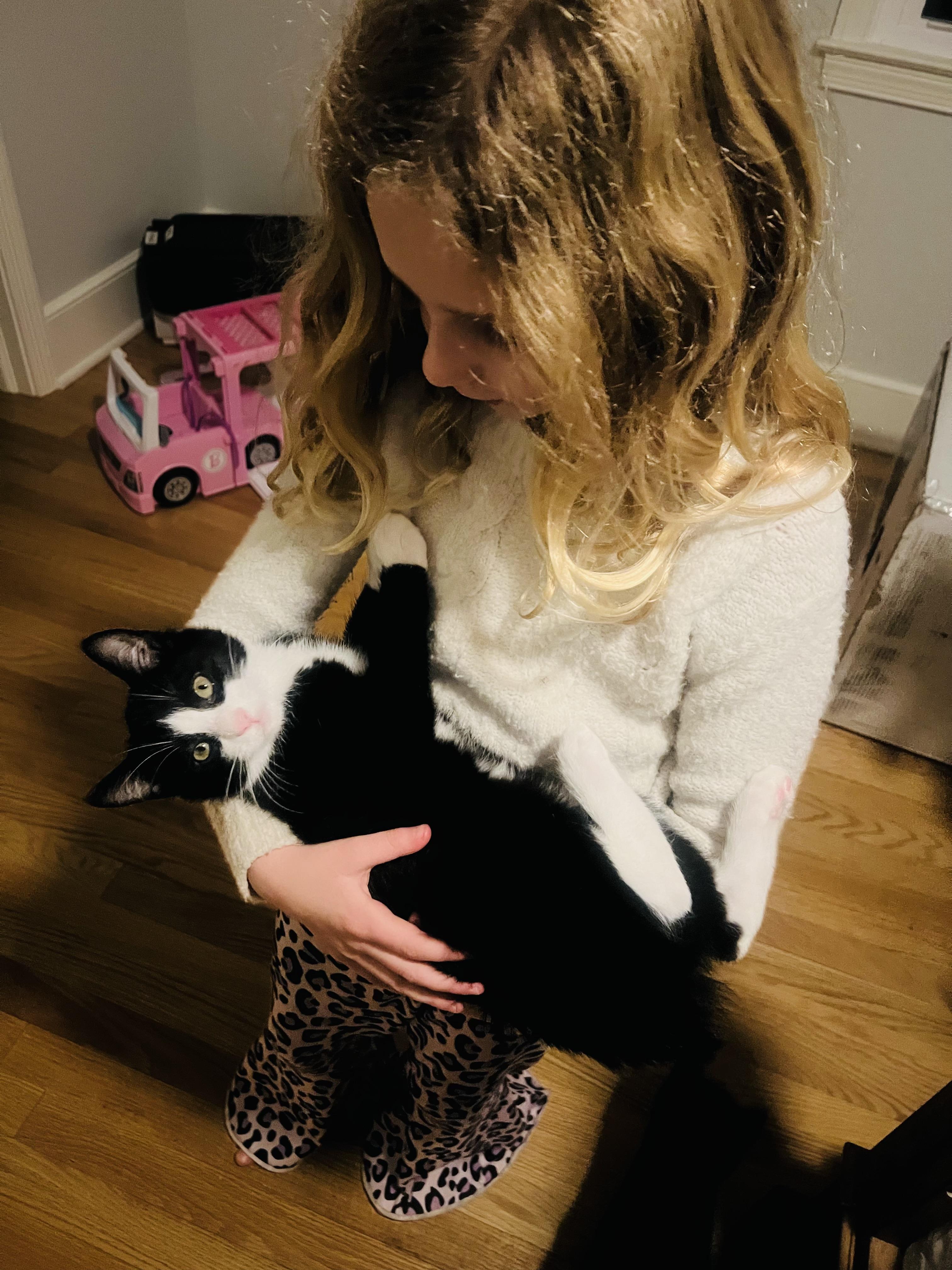 Clover, a Adoptable Domestic Short Hair in Sanford, NC image 4/4