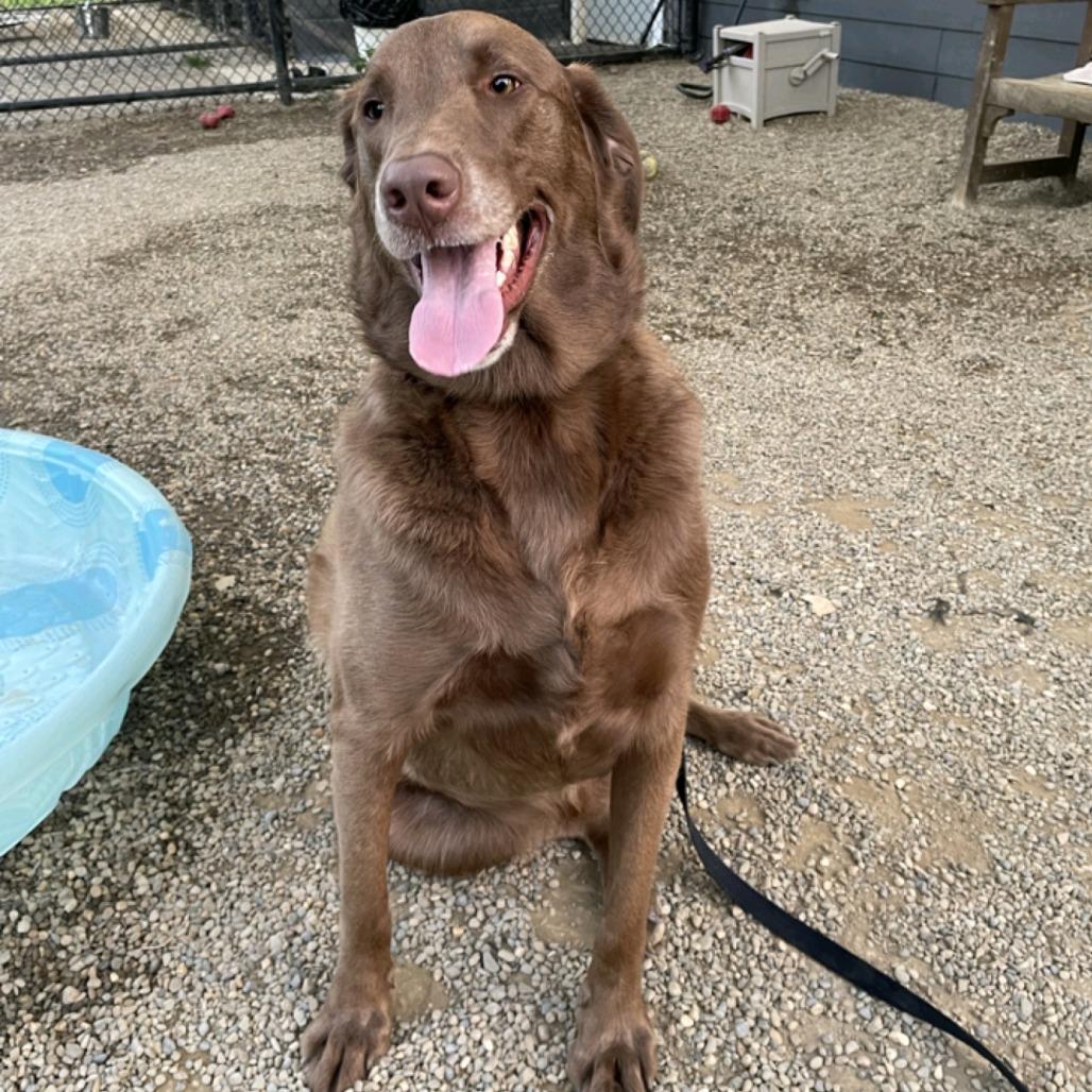 Snickers thumbnail 7