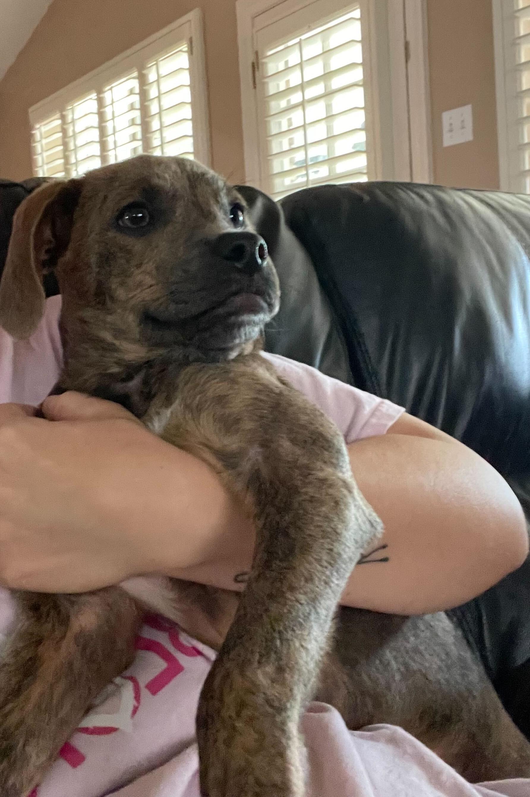 Squidward (In Foster)