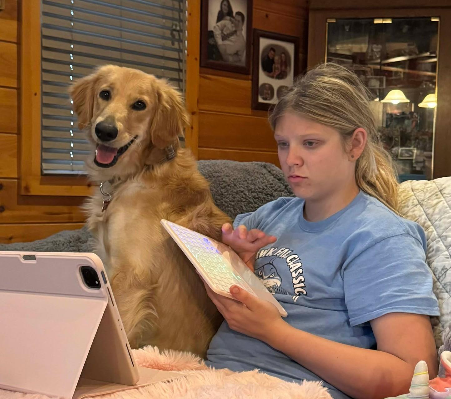 Enlarge Ross Matthews, a ADOPTABLE Golden Retriever in Kiowa, OK image 5/6