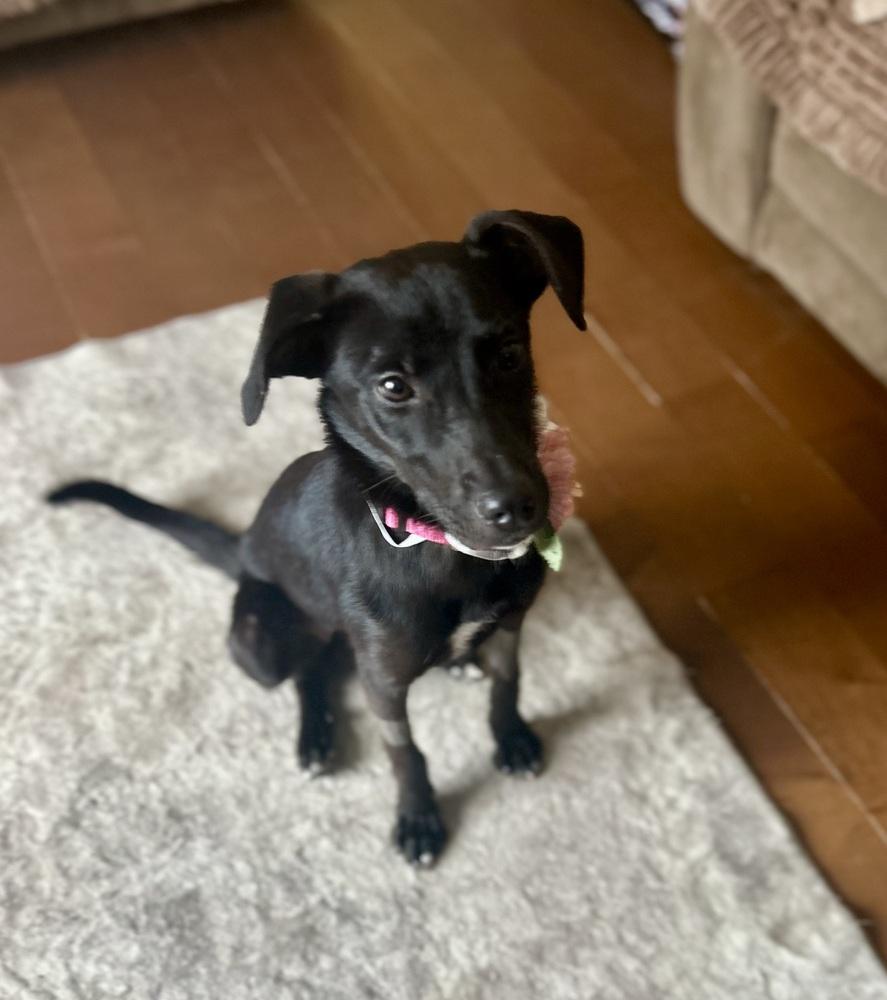 Reba — thumbnail 4