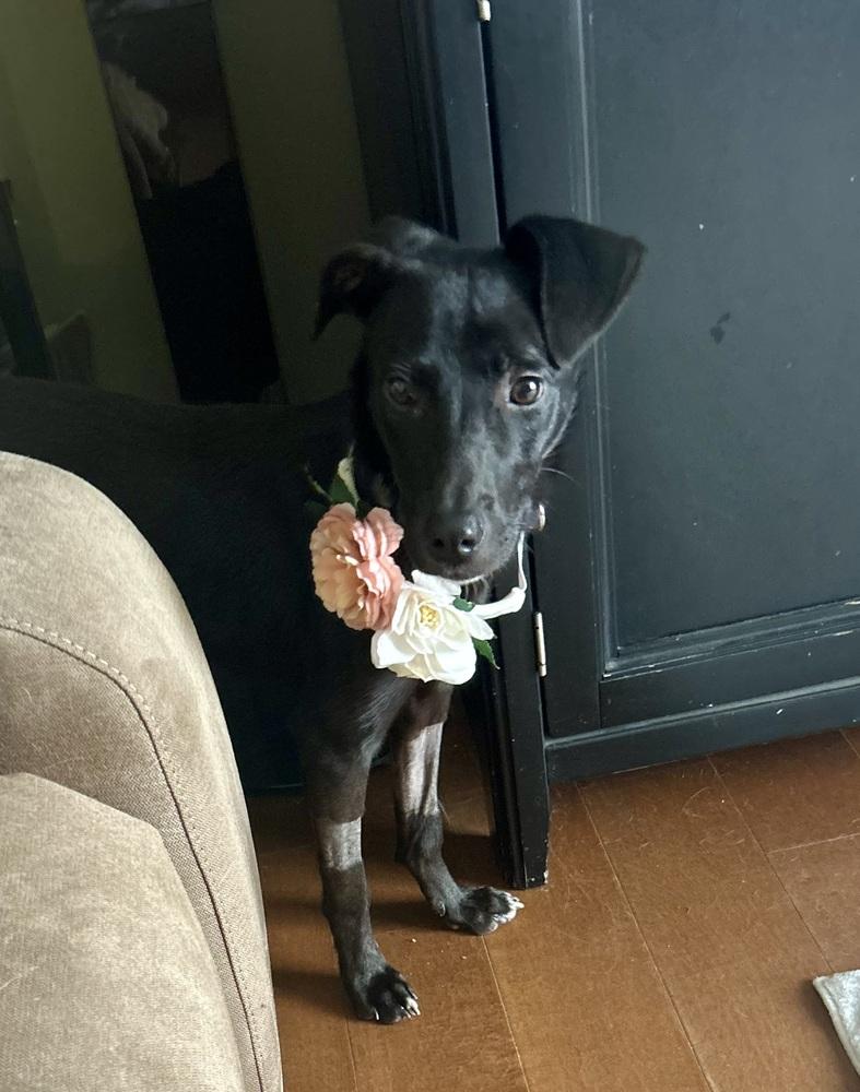 Reba — thumbnail 5