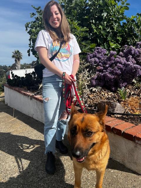 Capri, a Adoptable mixed breed in benicia, CA image 5/6