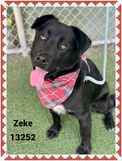ZEKE
