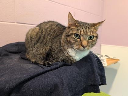 Charlie — thumbnail 2