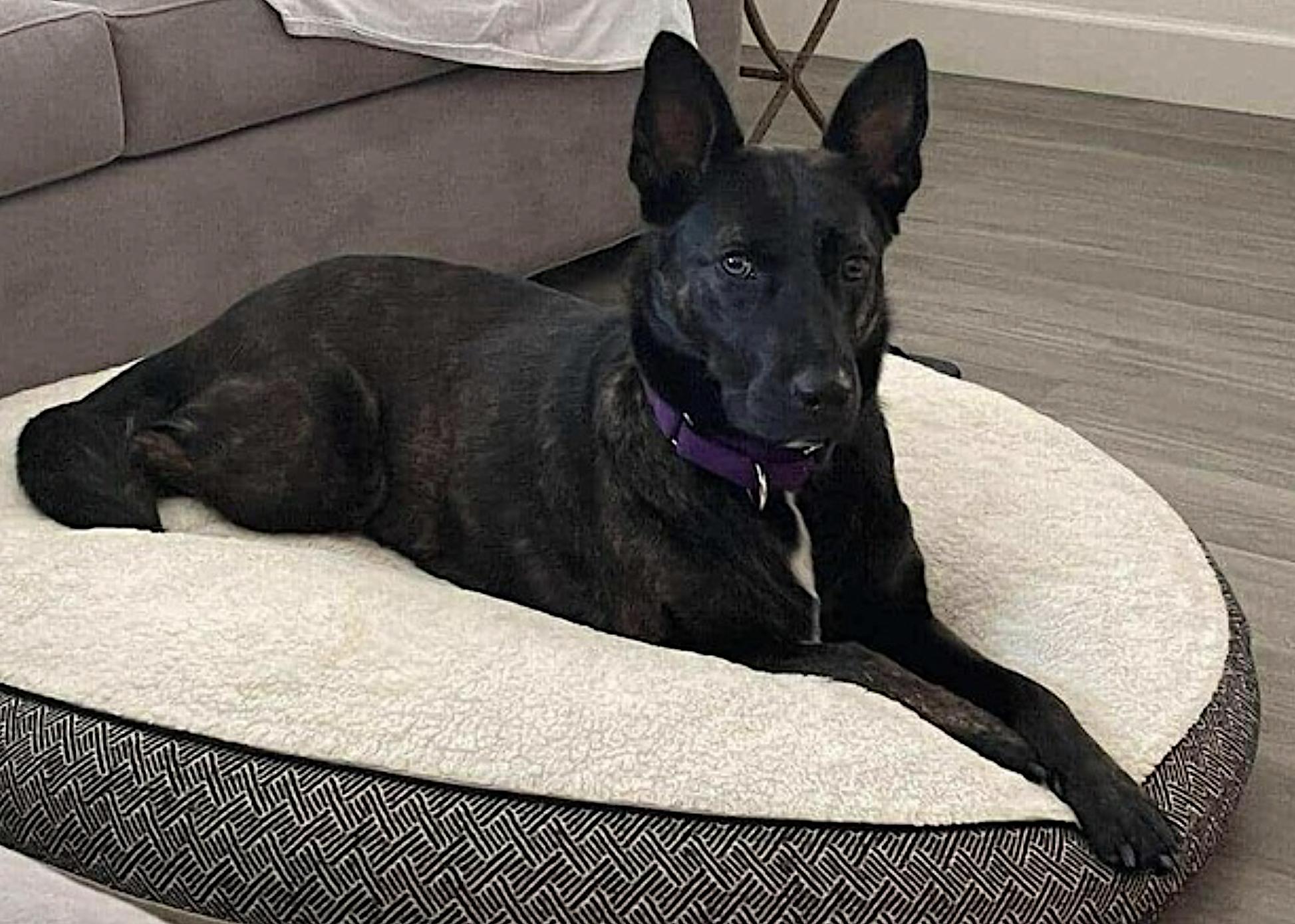 Donna — thumbnail 4