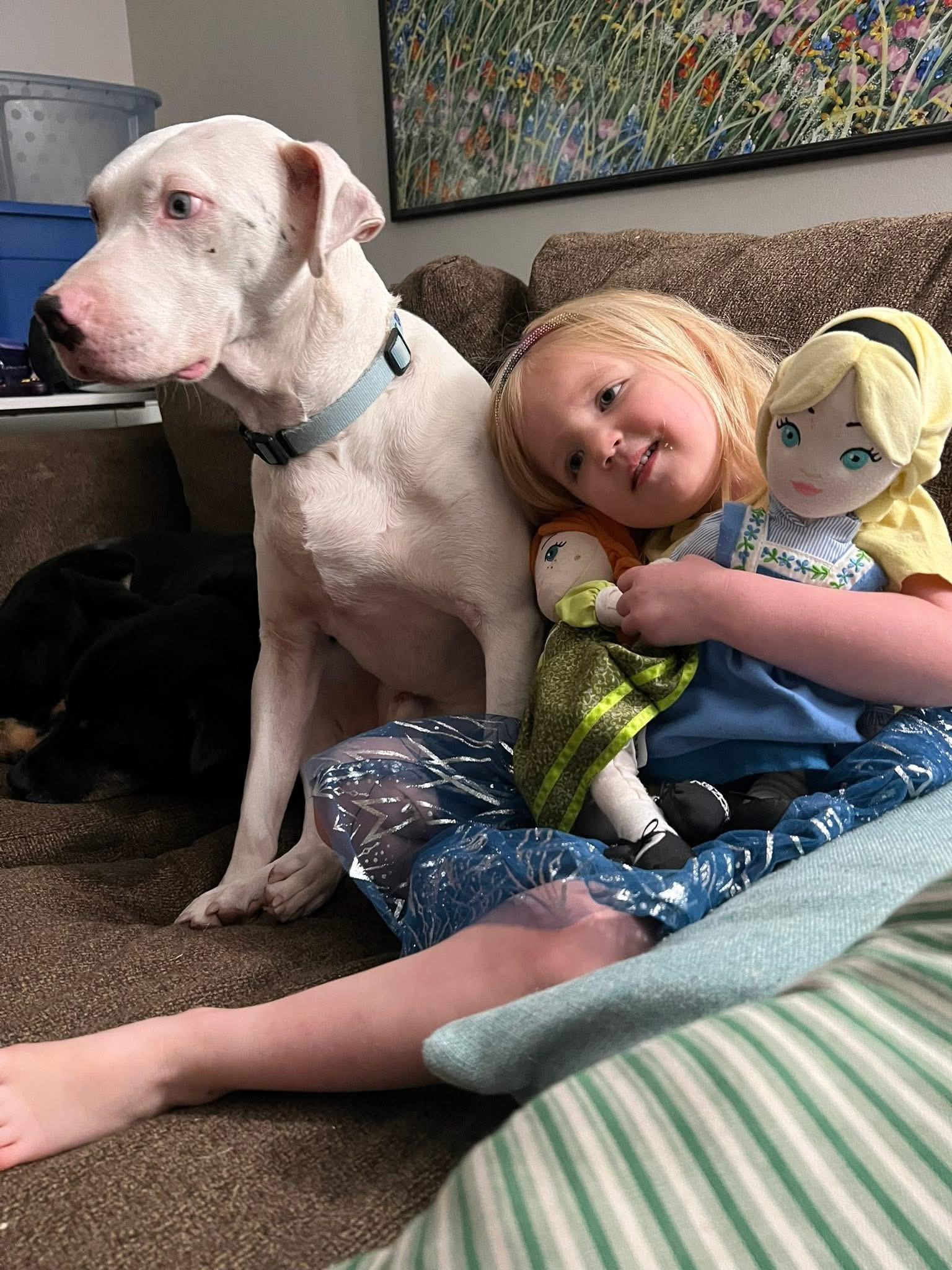 Enlarge Reggie the Kindest Dog Ever, an adoption pending mixed breed in La Veta, CO image 4/6