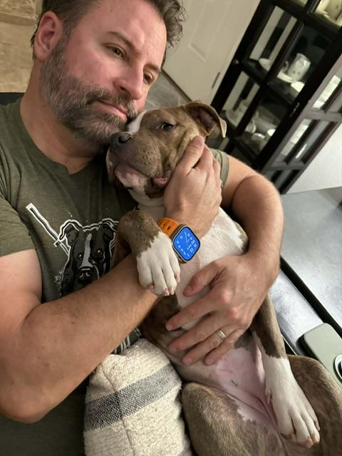 Enlarge Cardi B, a ADOPTABLE mixed breed in san ramon, CA image 3/6