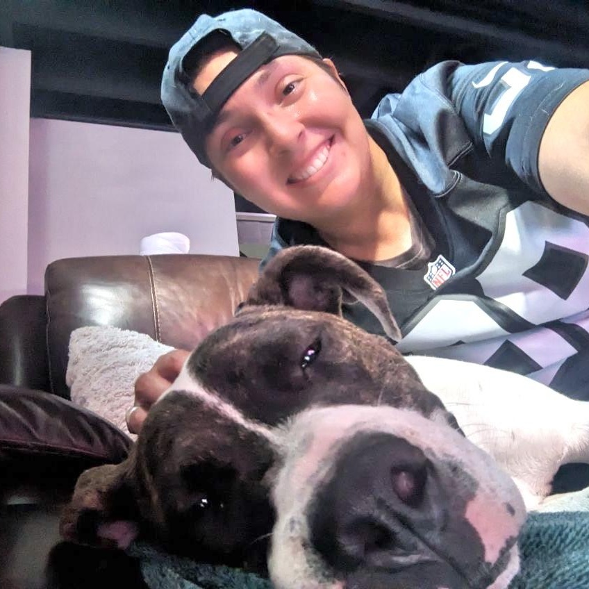 Boom, a Adoptable Pit Bull Terrier in Chicago, IL image 6/6