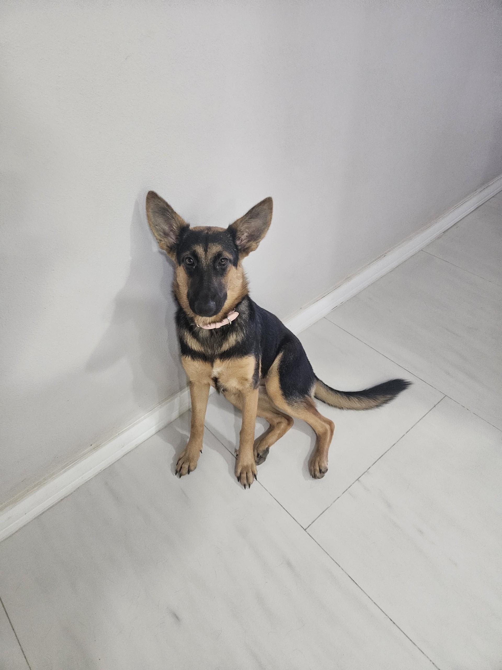GORDA