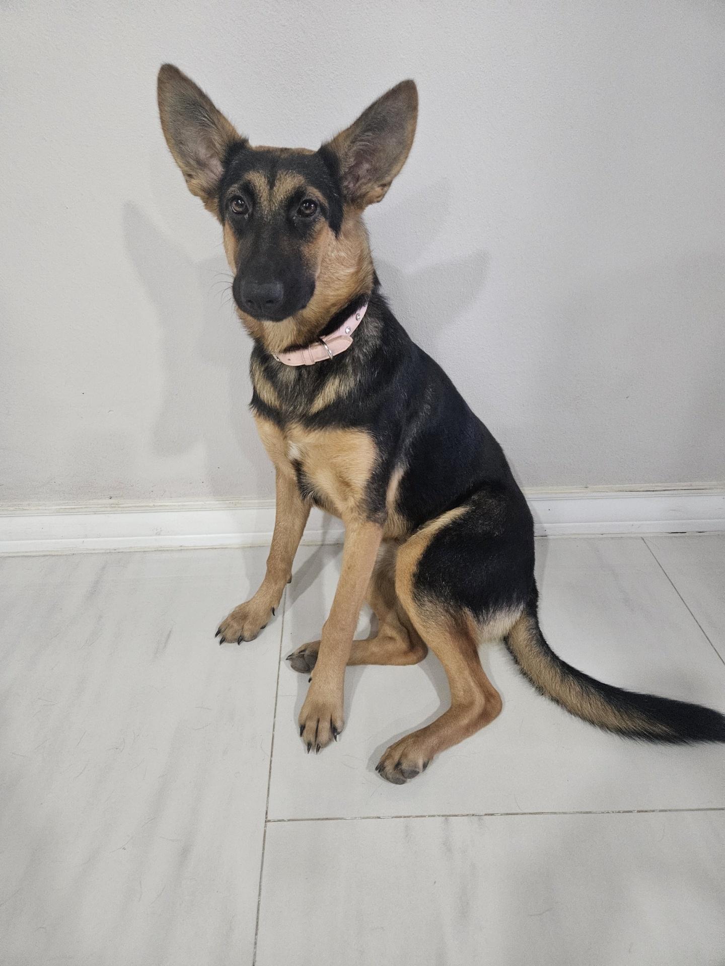 GORDA