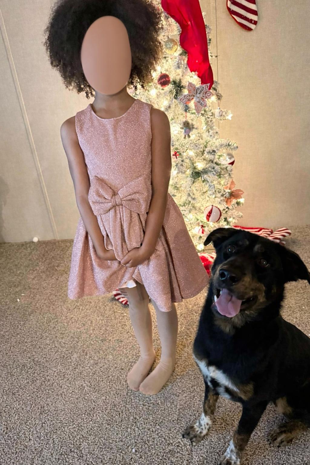 Enlarge Sammie, a Adoptable mixed breed in Humble, TX image 5/6