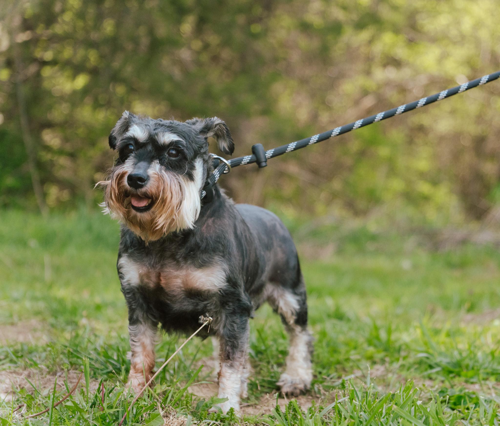 Sierra  Transport thumbnail 3