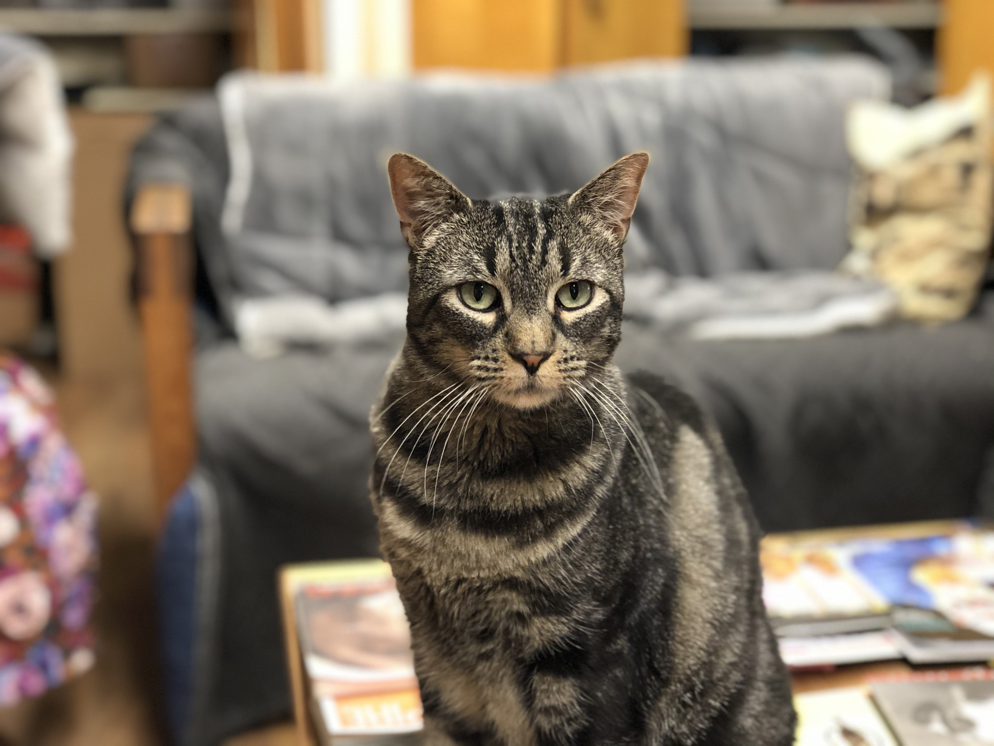 Taylor Swift — thumbnail 2