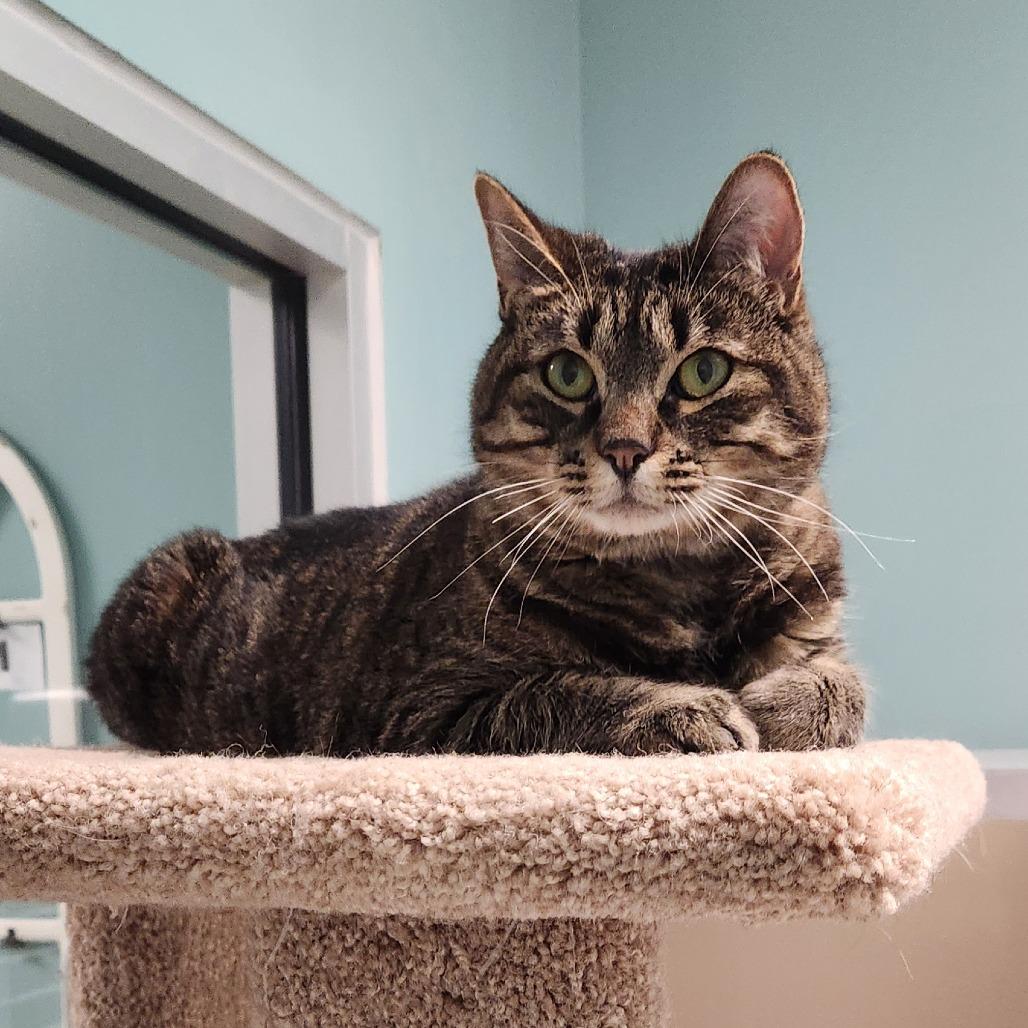 Oleander (Ollie) — thumbnail 3