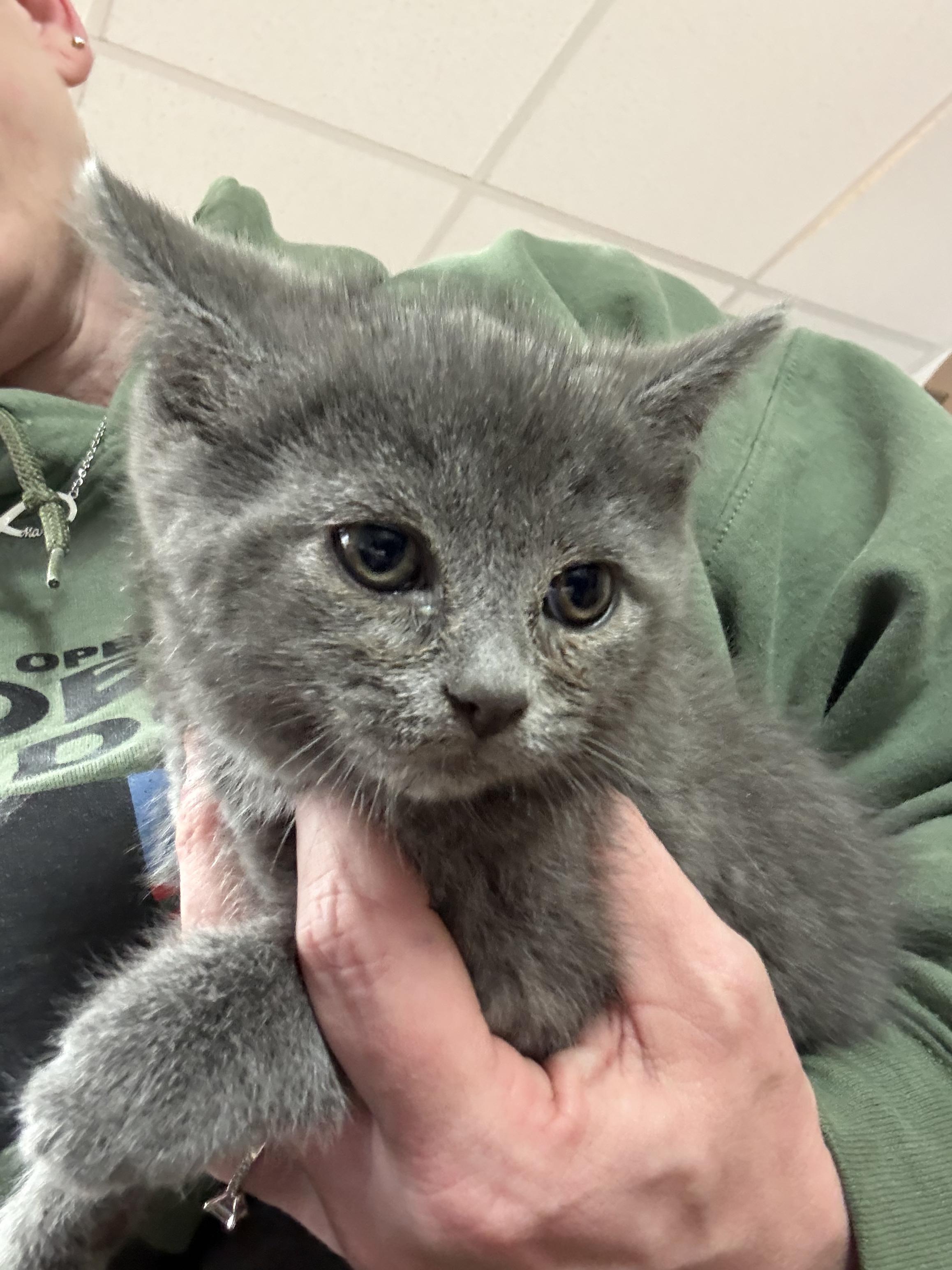 Ming Ming — thumbnail 2