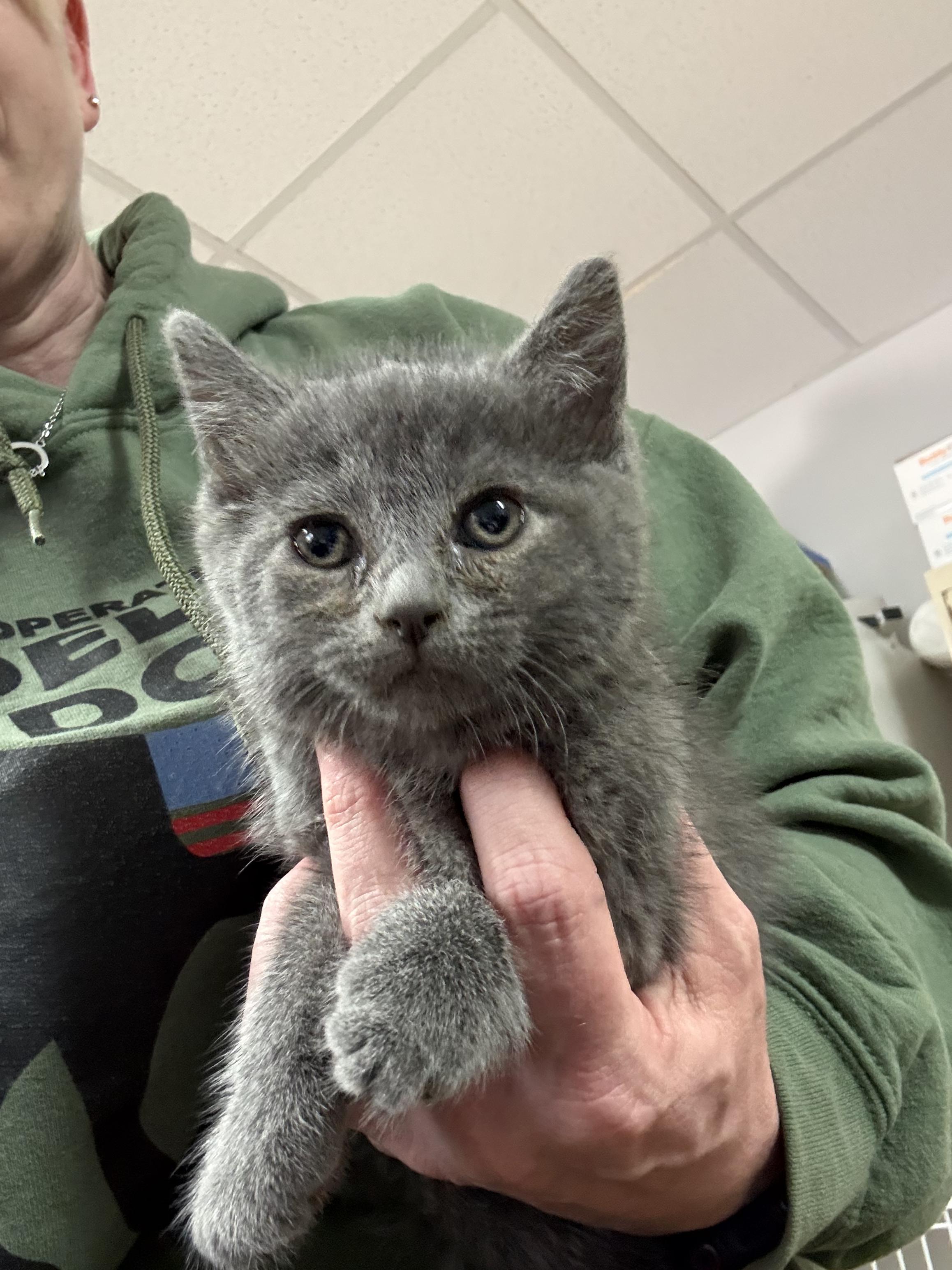 Ming Ming — thumbnail 3