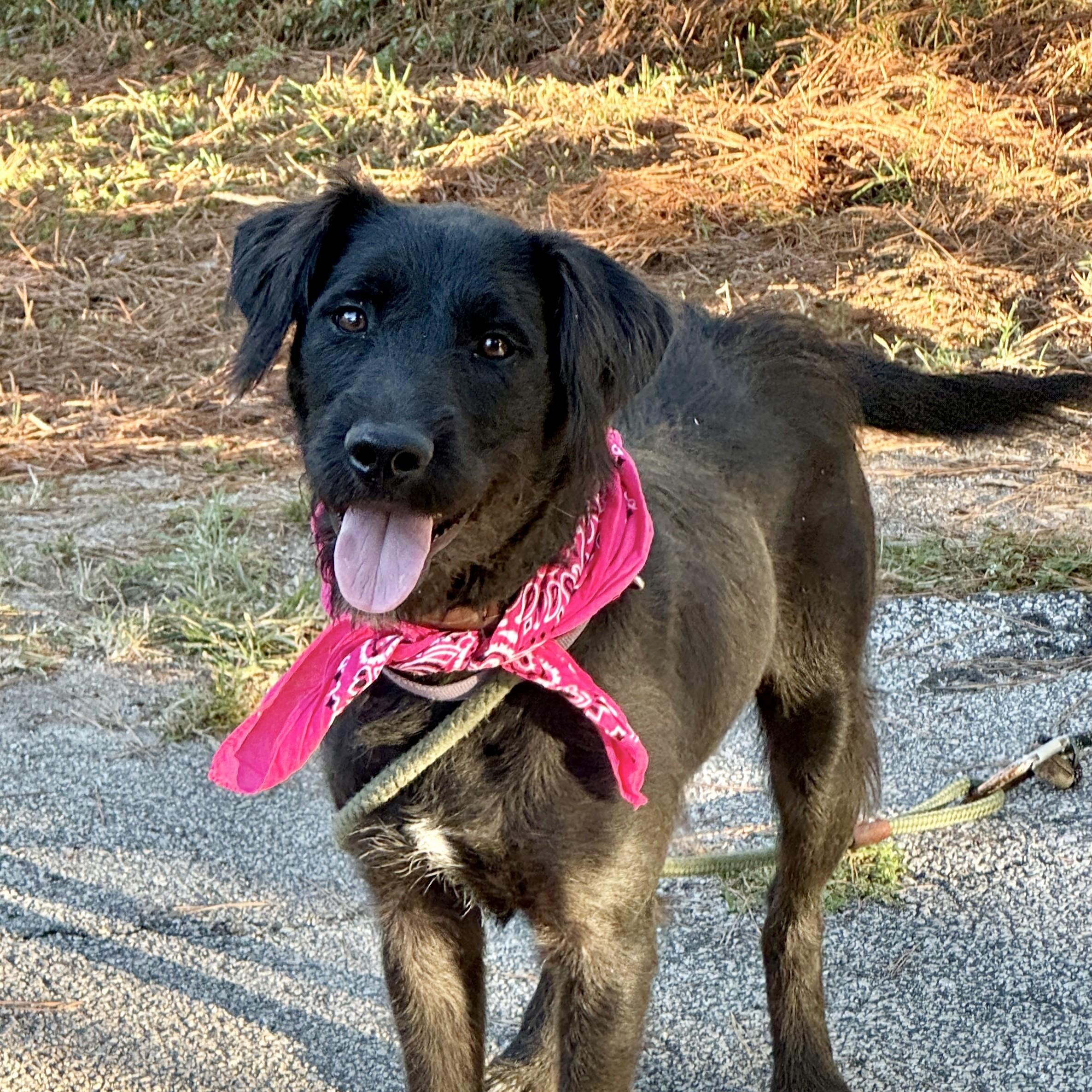 Annabelle thumbnail 2