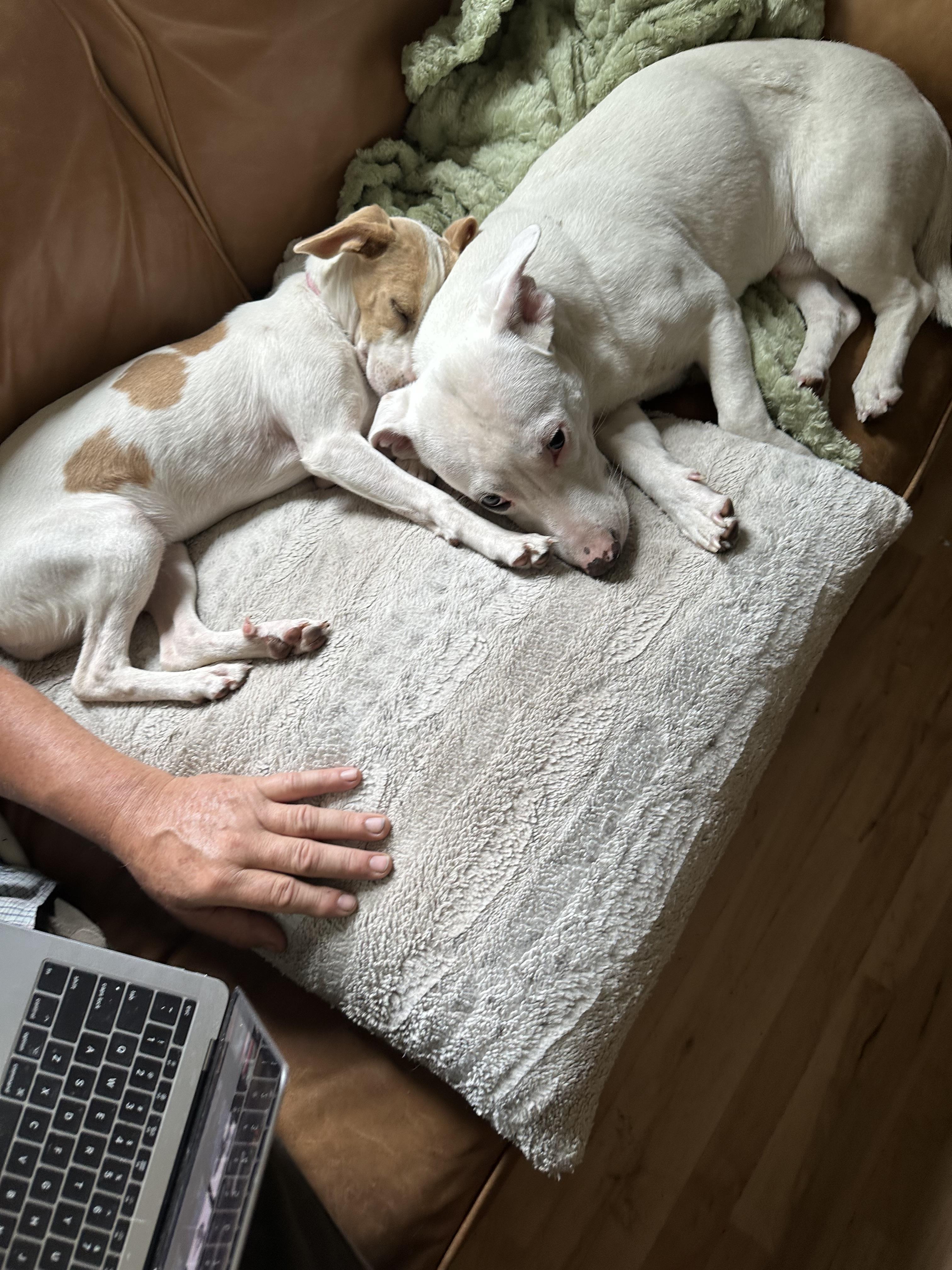 Lucy: Your New Best thumbnail 4