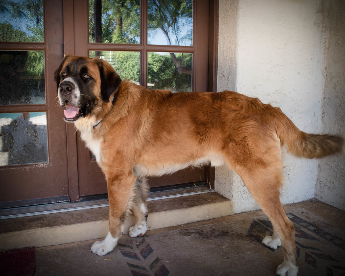 Hercules photo 5