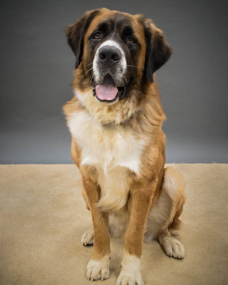 Hercules photo 2