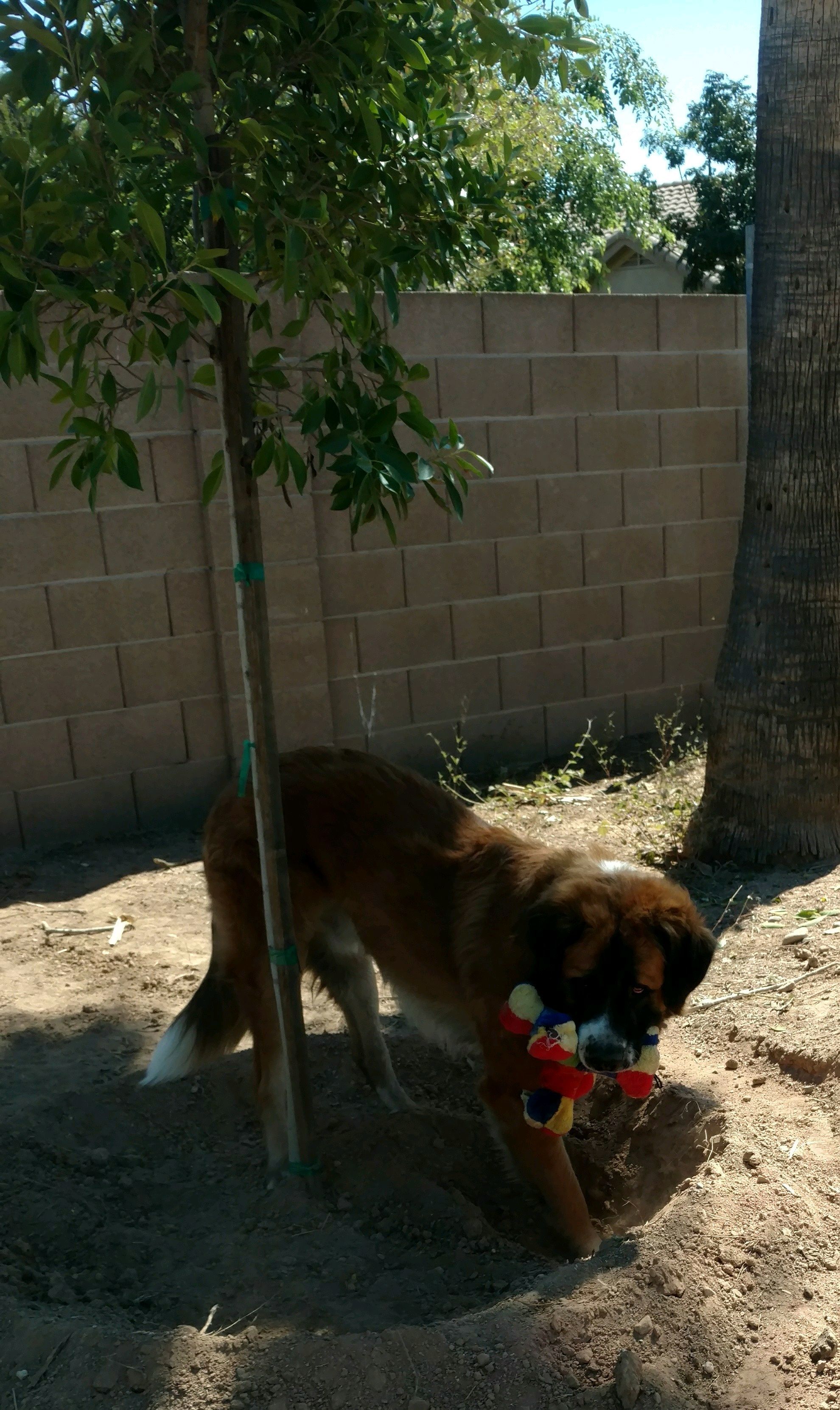 Hercules photo 1