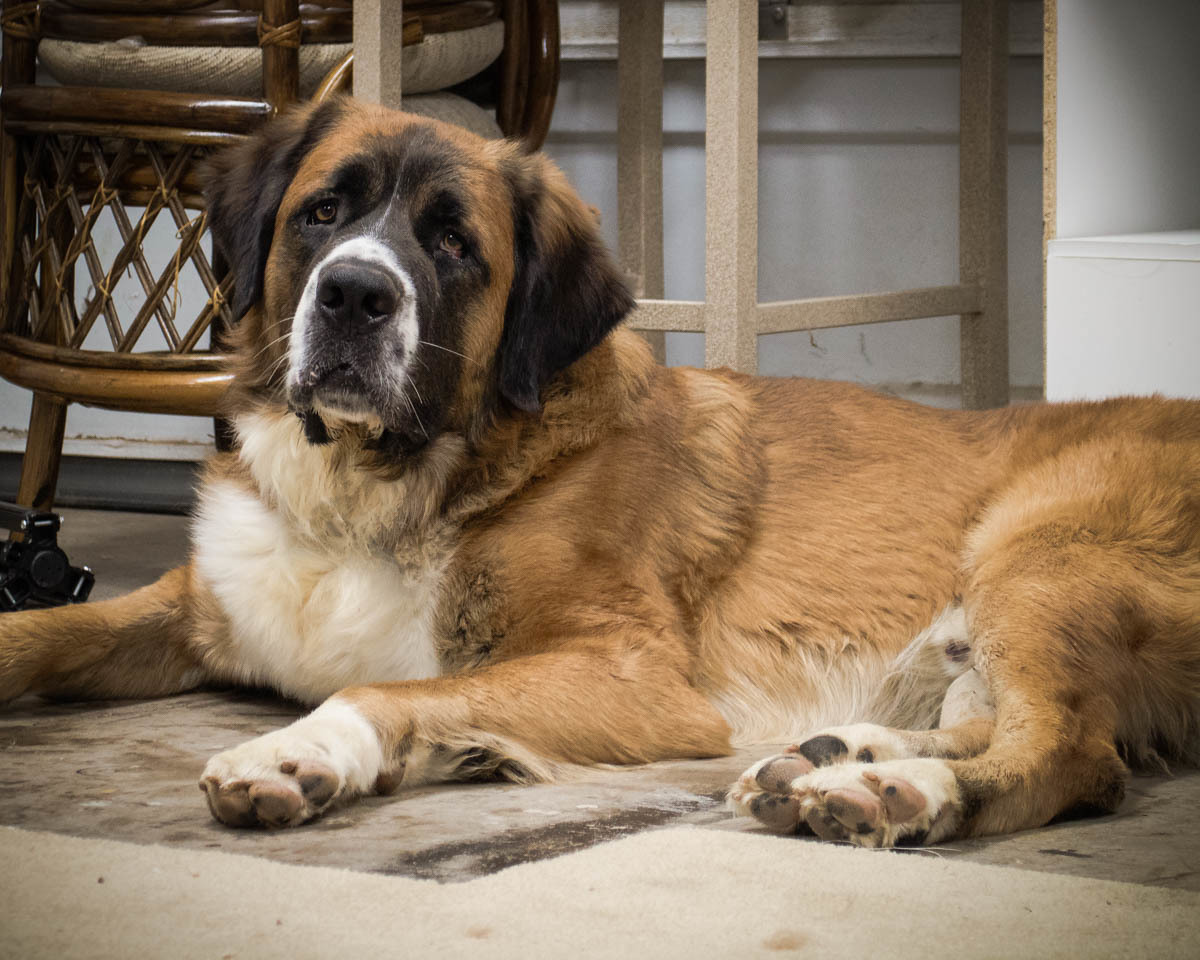 Hercules photo 3