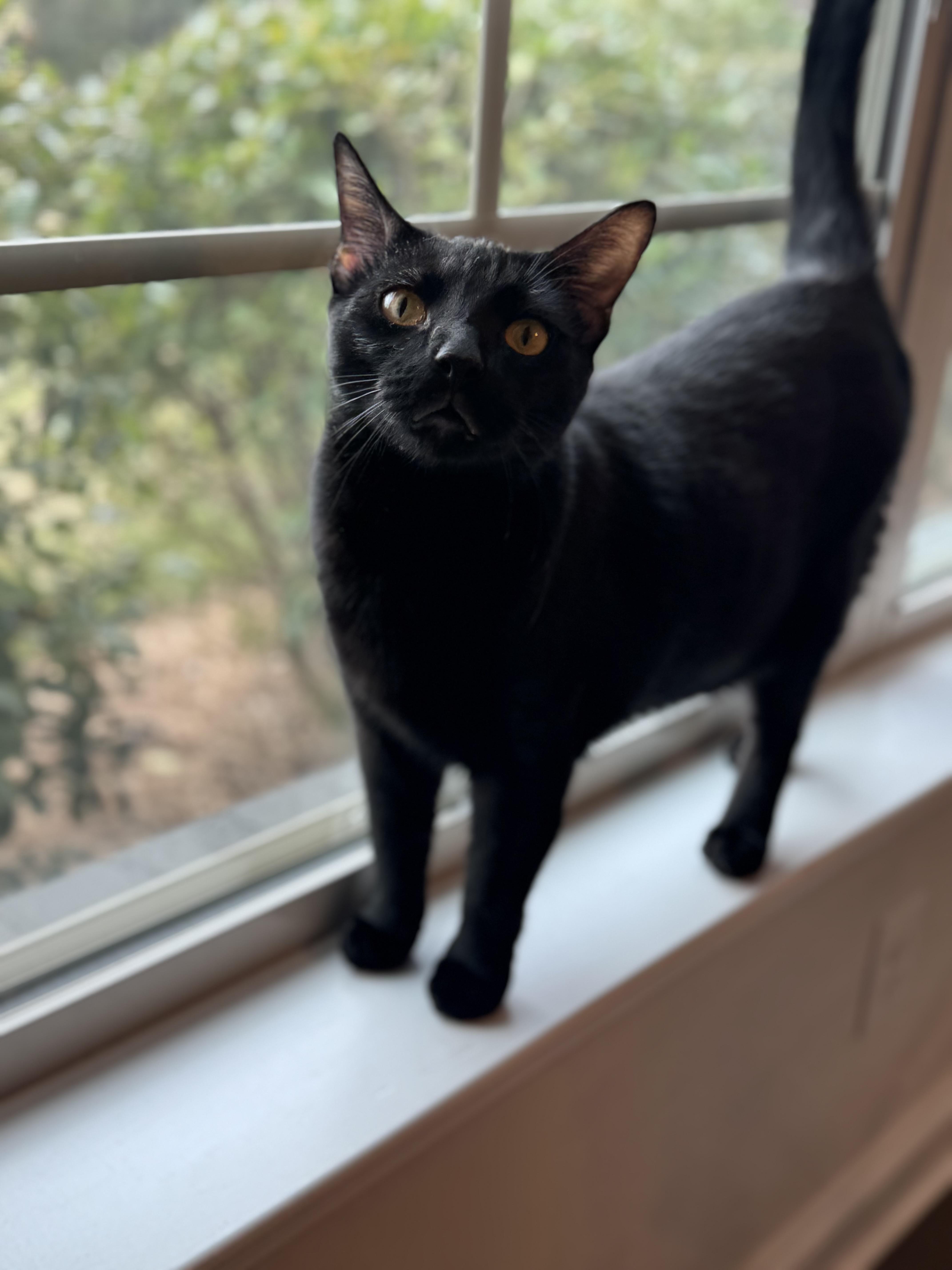 Salem