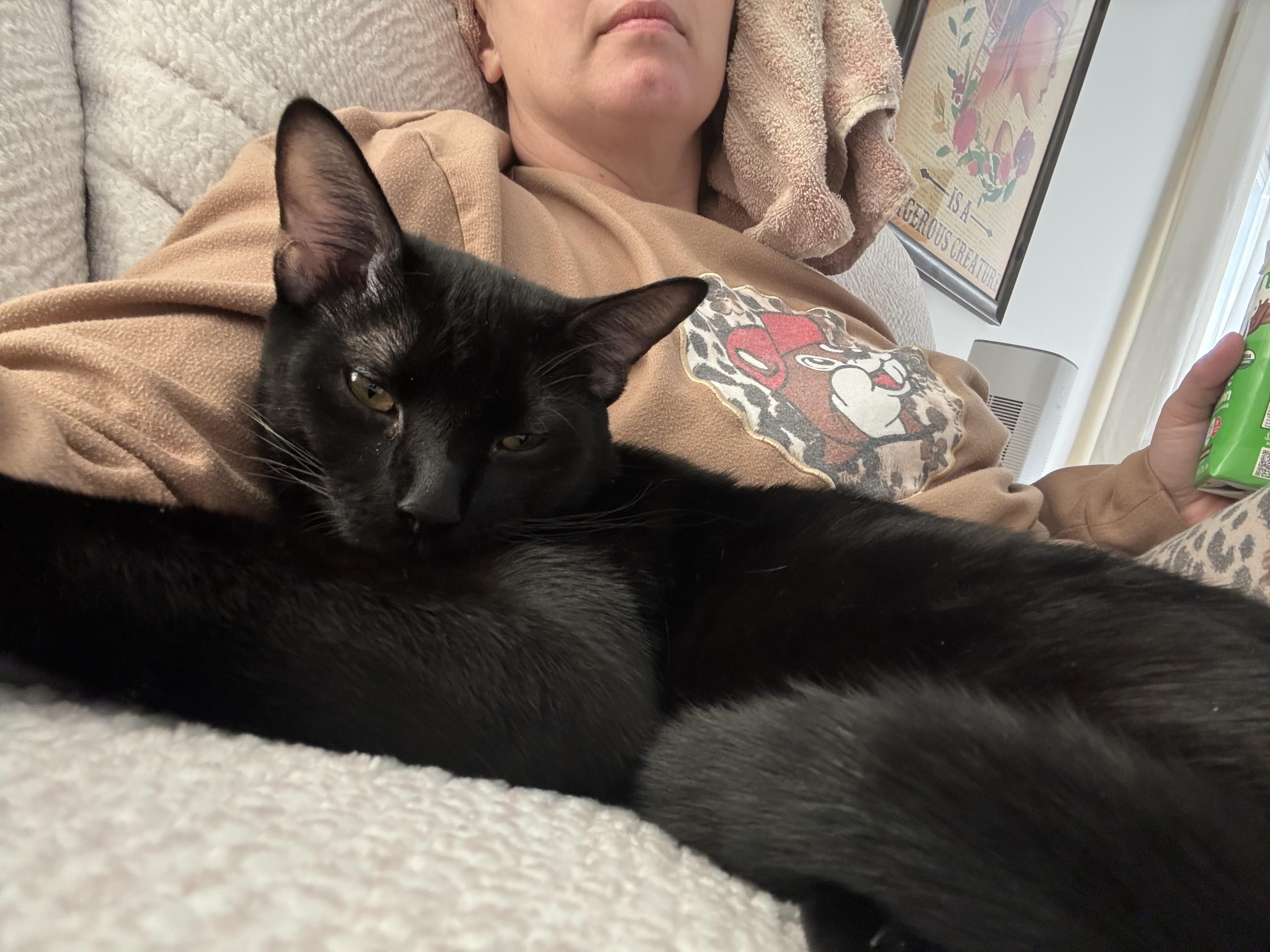 Salem 2