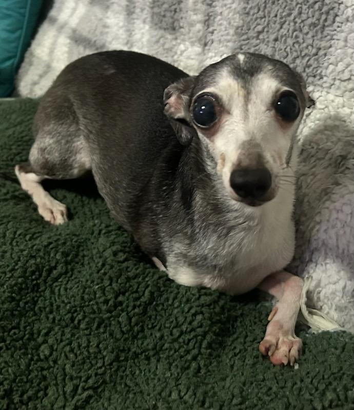 Max