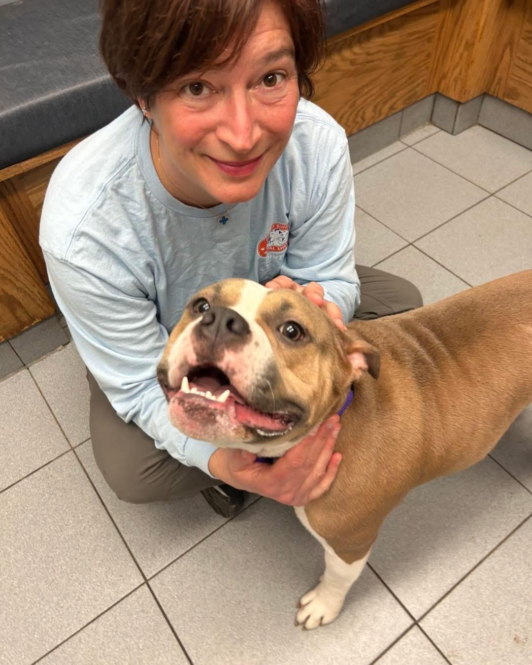 Enlarge Sari, an adopted mixed breed in Buffalo, NY image 2/4